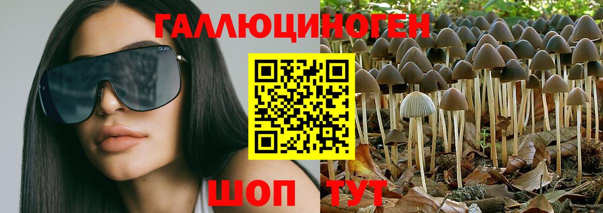 Галлюциногенные грибы Cubensis  Вход с VPN  Ипатово  Псилоцибиновые грибы прущие грибы 